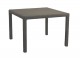 FB-4936 WOOD &  RESIN TABLE