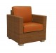 FB-5544 ALUM & RESIN LOUNGE CHAIR