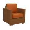 FB-5544 ALUM & RESIN LOUNGE CHAIR