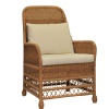 FB-5568-A-RESIN-WICKER-ARM-CHAIR