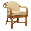 FB-6015 RATTAN ARM CHAIR